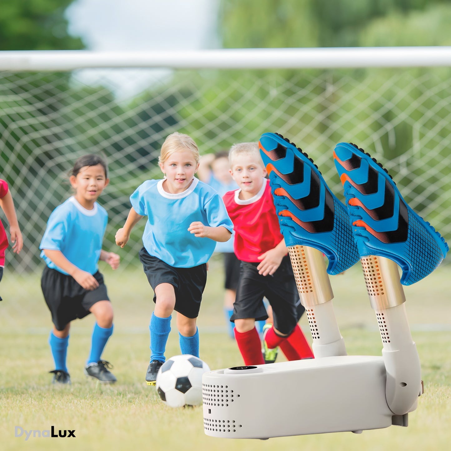DynaLux ProCare Shoe Dryer